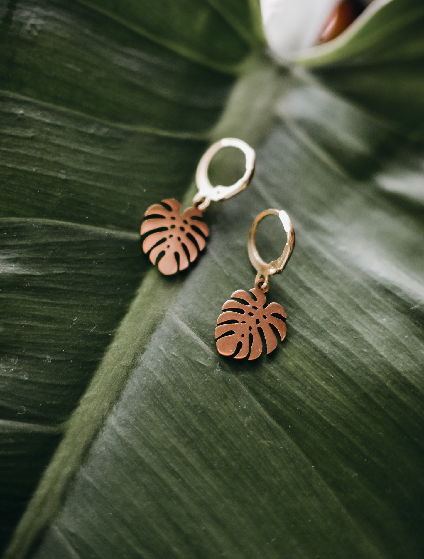 Monstera - Oorbellen